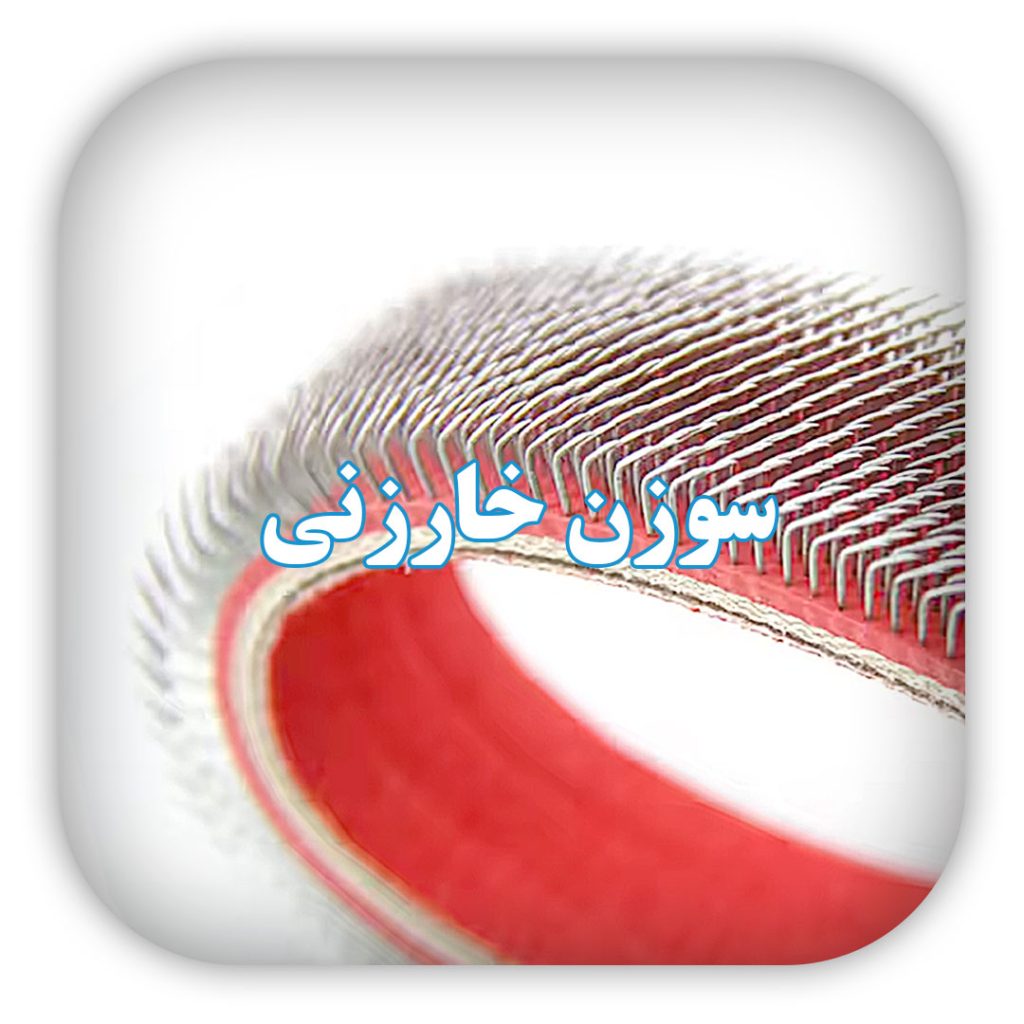 سوزن خارزنی